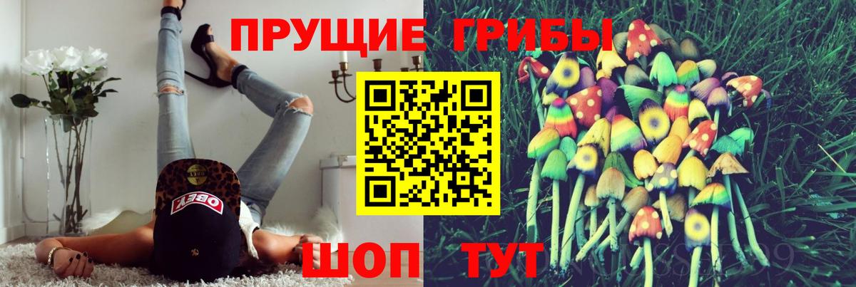 Псилоцибиновые грибы GOLDEN TEACHER  Вход с VPN  продажа наркотиков  Курганинск 