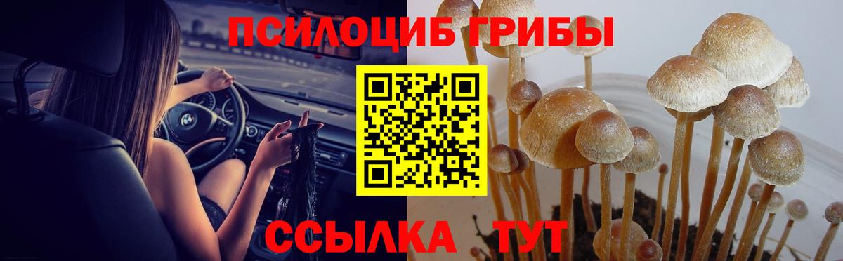 Галлюциногенные грибы прущие грибы Курганинск